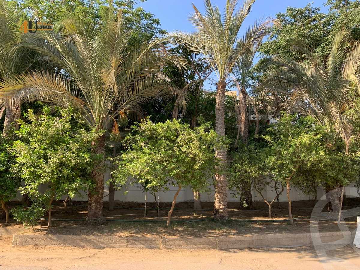 https://aqarmap.com.eg/en/listing/6552684-for-sale-cairo-new-cairo-ganob-el-akadamiya-south-academy-d-abbas-mahmoud-el-akad-st
