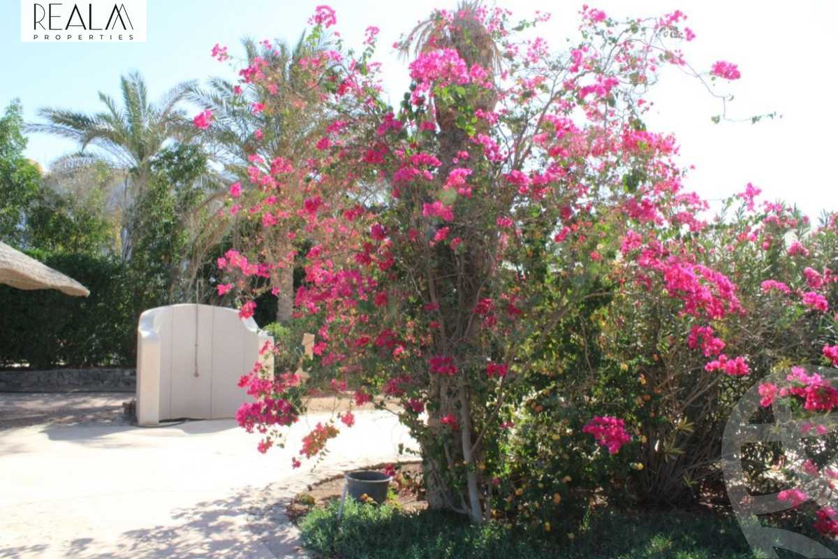 https://aqarmap.com.eg/en/listing/5881403-for-sale-red-sea-el-gouna-el-gouna-resorts-wyt-fyl