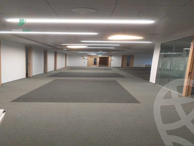 https://aqarmap.com.eg/en/listing/5357378-for-rent-cairo-new-cairo-90th-street-south-teseen-st
