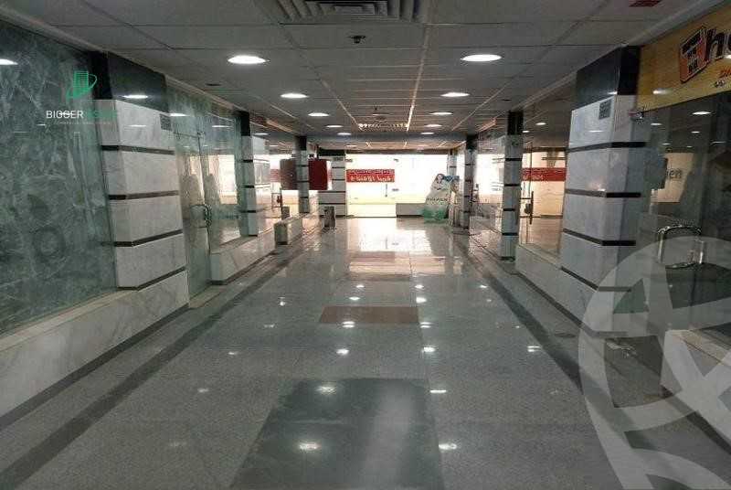 https://aqarmap.com.eg/en/listing/5415815-for-rent-cairo-new-cairo-90th-street-south-teseen-st