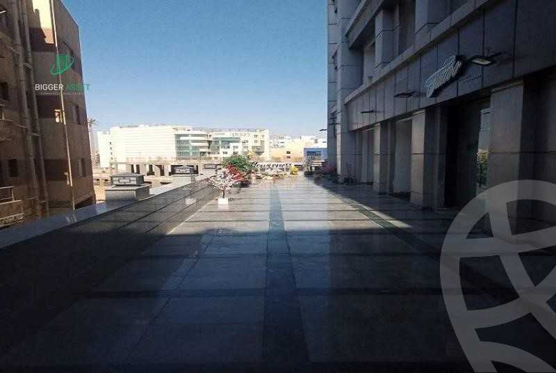 https://aqarmap.com.eg/en/listing/5416253-for-rent-cairo-new-cairo-90th-street-south-teseen-st