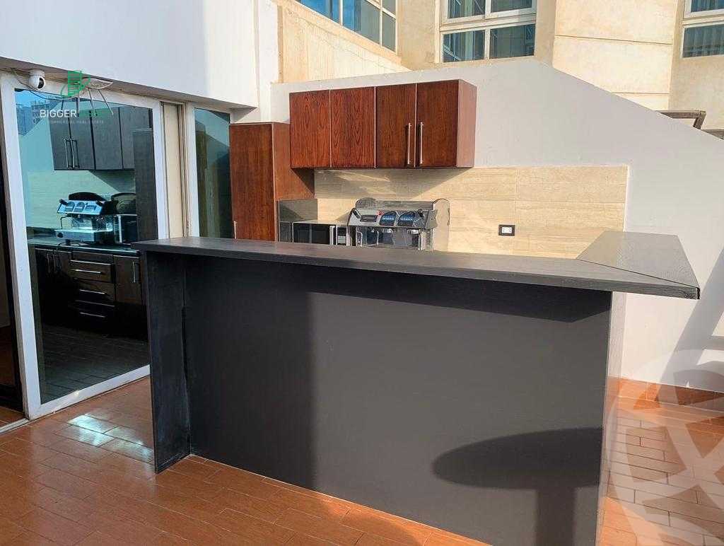 https://aqarmap.com.eg/en/listing/5692303-for-rent-cairo-new-cairo-ring-road