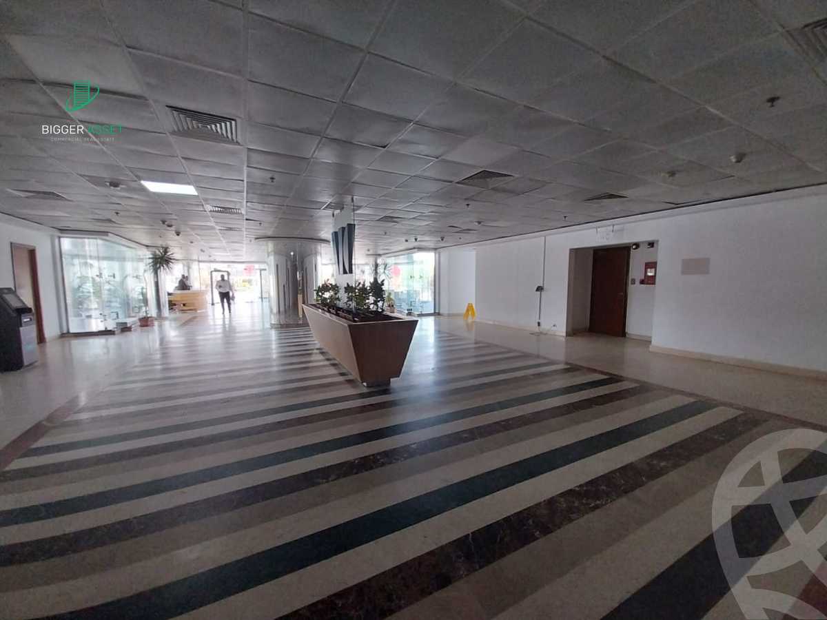https://aqarmap.com.eg/en/listing/6257376-for-rent-cairo-new-cairo-90th-street-south-teseen-st