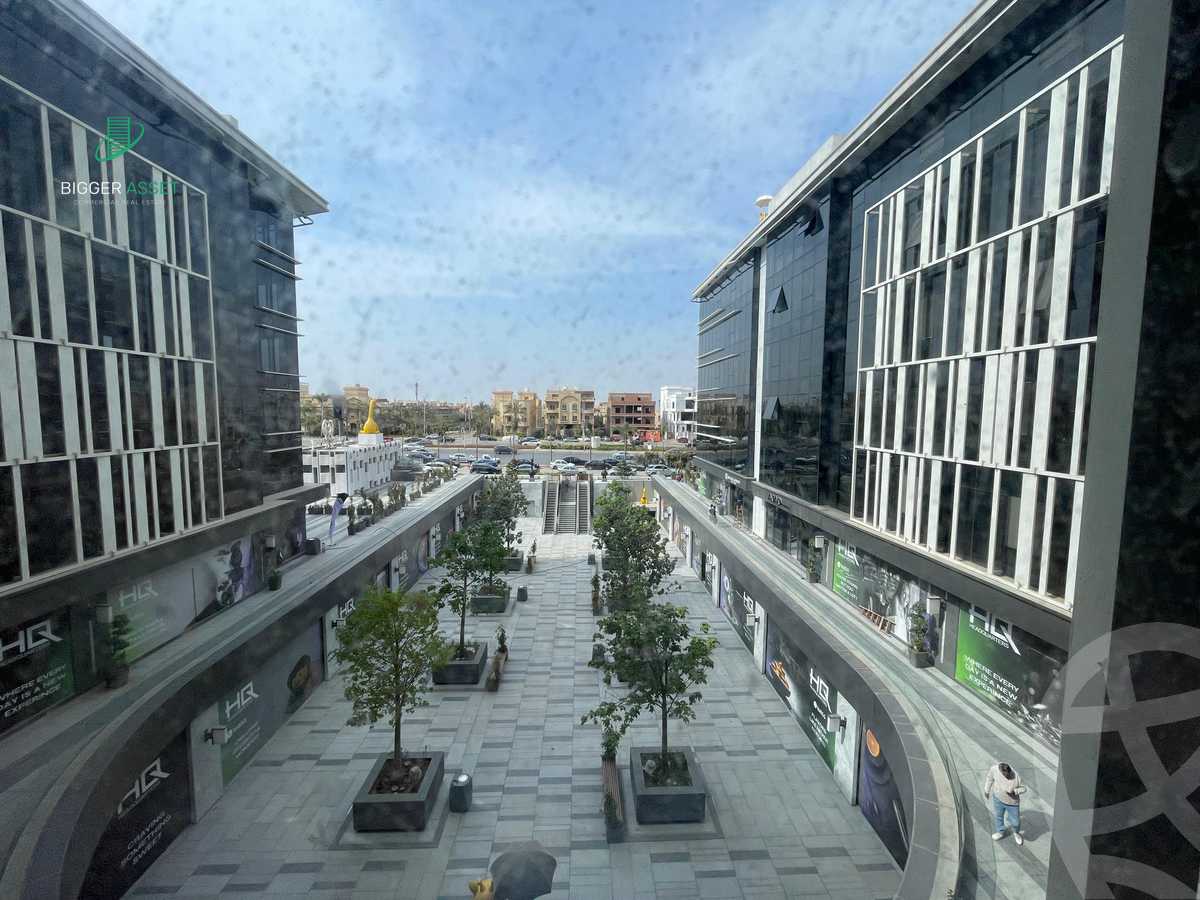 https://aqarmap.com.eg/en/listing/6283196-for-rent-cairo-new-cairo-90th-street-northern-90th-street
