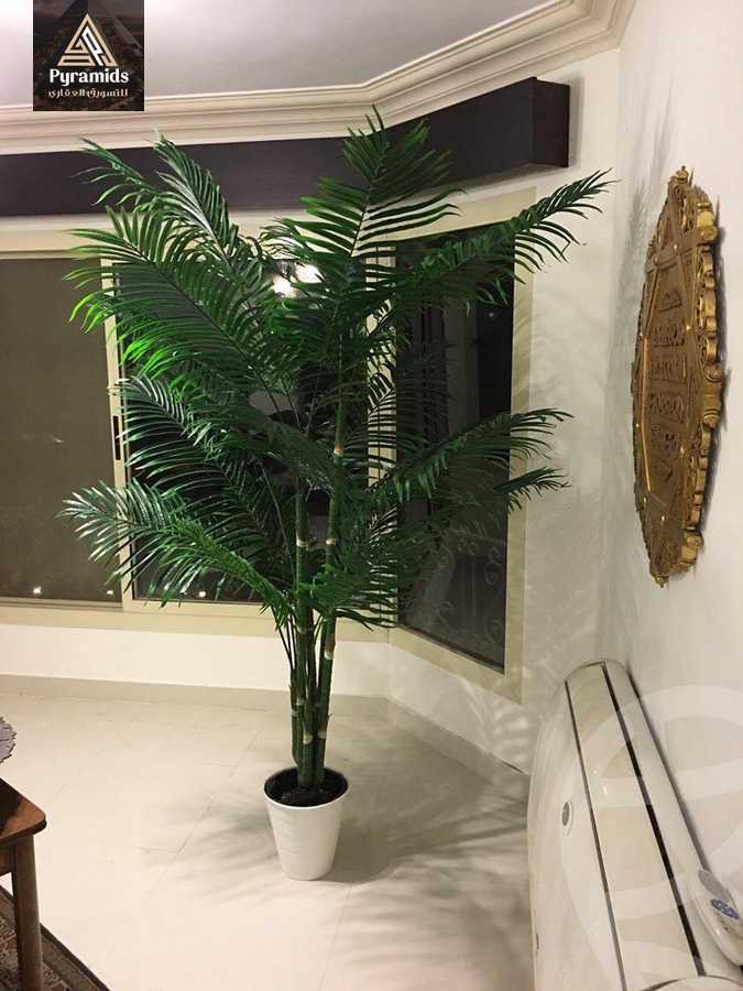 https://aqarmap.com.eg/en/listing/5877905-for-rent-cairo-dokki