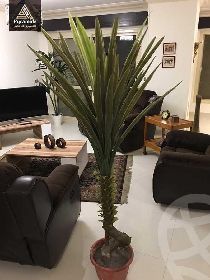 https://aqarmap.com.eg/en/listing/5877905-for-rent-cairo-dokki