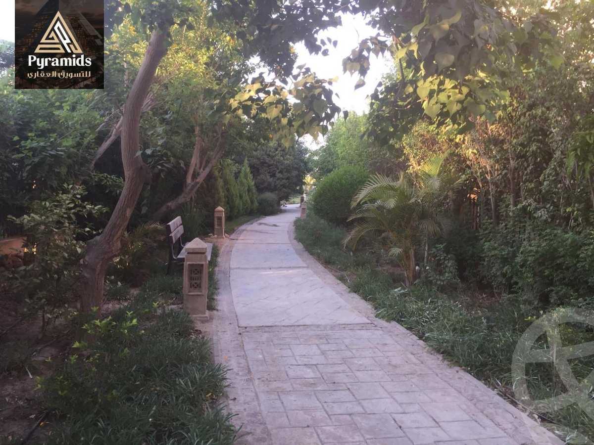 https://aqarmap.com.eg/en/listing/6364039-for-rent-cairo-6th-of-october-compounds-dara-gardens-compound-al-ahly-sbbour