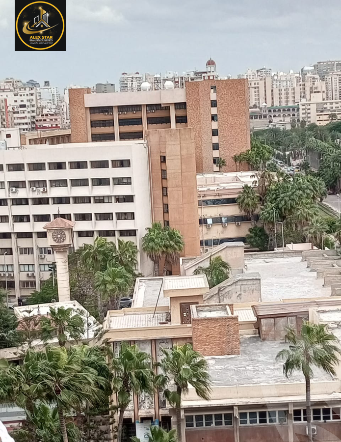 https://aqarmap.com.eg/en/listing/5623431-for-sale-alexandria-l-zryt-dinkrat-st