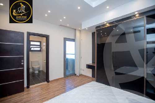 https://aqarmap.com.eg/en/listing/5951101-for-rent-alexandria-stanley-el-geish-rd