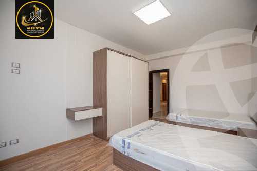 https://aqarmap.com.eg/en/listing/5951101-for-rent-alexandria-stanley-el-geish-rd