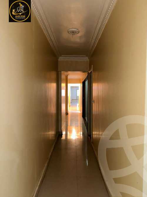 https://aqarmap.com.eg/en/listing/5631391-for-rent-alexandria-ganaklis-shr-mrtdy-bsh