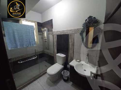 https://aqarmap.com.eg/en/listing/5778349-for-rent-alexandria-zezenia-abd-el-salam-aref-st