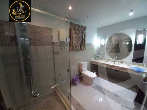 https://aqarmap.com.eg/en/listing/5778349-for-rent-alexandria-zezenia-abd-el-salam-aref-st