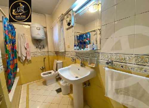 https://aqarmap.com.eg/ar/listing/5783294-for-rent-alexandria-ganaklis-shr-bw-qyr-tryq-lhry