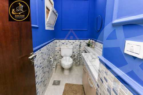 https://aqarmap.com.eg/en/listing/5926367-for-rent-alexandria-kafr-abdo-sant-square-st
