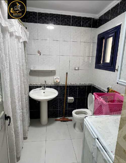 https://aqarmap.com.eg/en/listing/5950882-for-rent-alexandria-cleopatra-tryq-ljysh