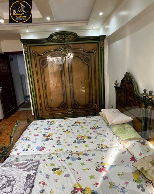 https://aqarmap.com.eg/en/listing/5950882-for-rent-alexandria-cleopatra-tryq-ljysh
