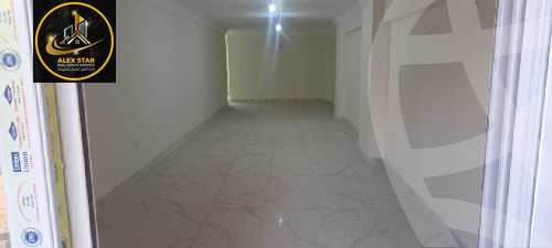 https://aqarmap.com.eg/en/listing/5978122-for-rent-alexandria-saba-basha