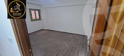 https://aqarmap.com.eg/en/listing/5978122-for-rent-alexandria-saba-basha