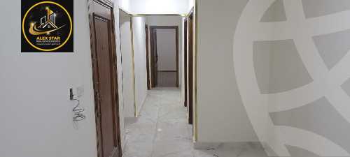 https://aqarmap.com.eg/en/listing/5978122-for-rent-alexandria-saba-basha
