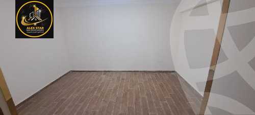 https://aqarmap.com.eg/en/listing/5978122-for-rent-alexandria-saba-basha