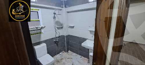 https://aqarmap.com.eg/en/listing/5978122-for-rent-alexandria-saba-basha