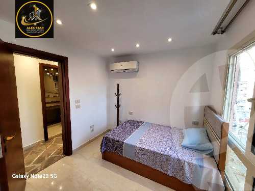 https://aqarmap.com.eg/en/listing/6116205-for-rent-alexandria-camp-cesar