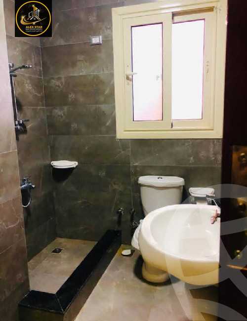 https://aqarmap.com.eg/en/listing/6116213-for-rent-alexandria-glim-shr-ljysh