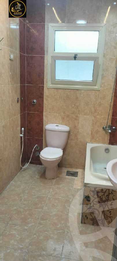 https://aqarmap.com.eg/en/listing/6116217-for-rent-alexandria-miami-iskandar-ibrahim-st