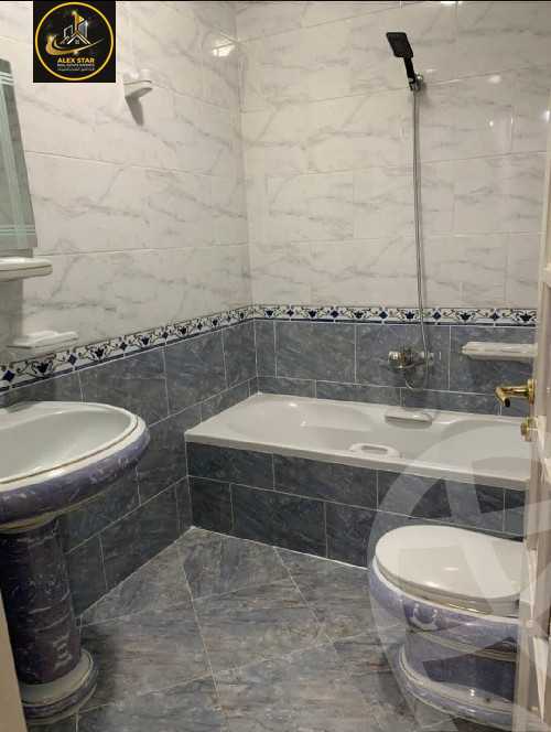 https://aqarmap.com.eg/en/listing/6116352-for-rent-alexandria-lauran-shaarawy-st