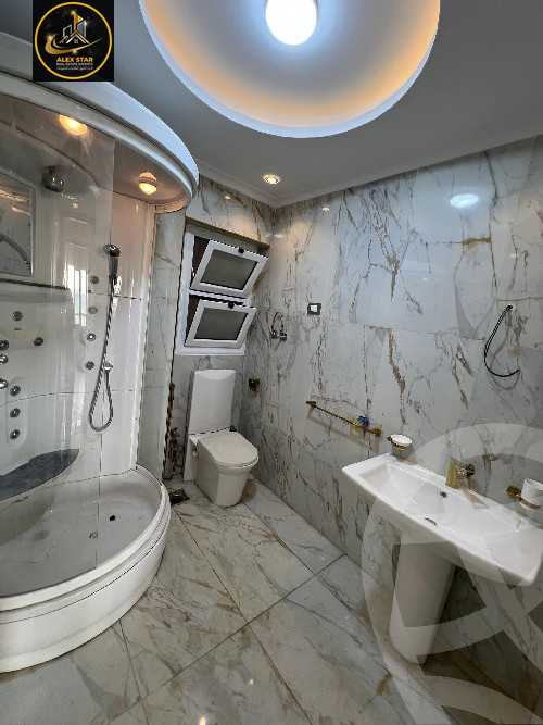 https://aqarmap.com.eg/ar/listing/6117782-for-sale-alexandria-stanley-el-geish-rd