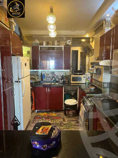 https://aqarmap.com.eg/en/listing/6120105-for-rent-alexandria-camp-cesar-port-said-street