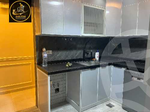 https://aqarmap.com.eg/en/listing/6122402-for-rent-alexandria-lauran-shaarawy-st