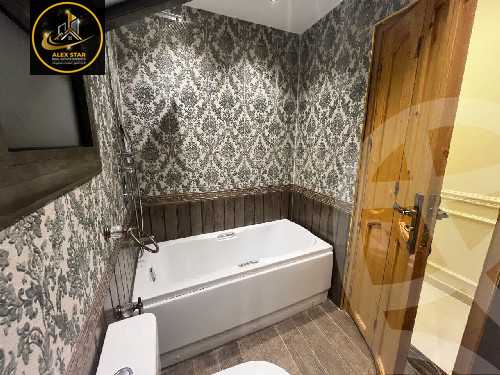 https://aqarmap.com.eg/en/listing/6122402-for-rent-alexandria-lauran-shaarawy-st