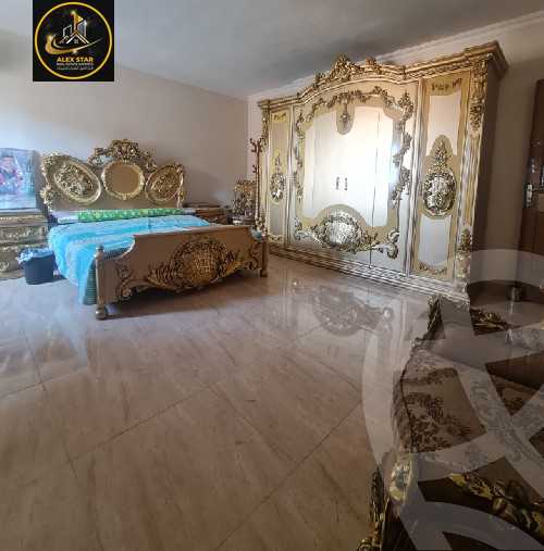 https://aqarmap.com.eg/ar/listing/6137336-for-rent-alexandria-camp-cesar-port-said-street