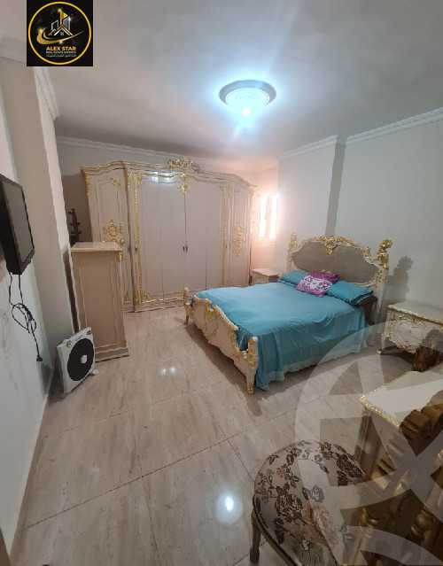 https://aqarmap.com.eg/ar/listing/6137336-for-rent-alexandria-camp-cesar-port-said-street