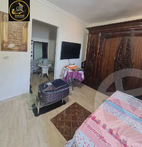 https://aqarmap.com.eg/ar/listing/6137336-for-rent-alexandria-camp-cesar-port-said-street