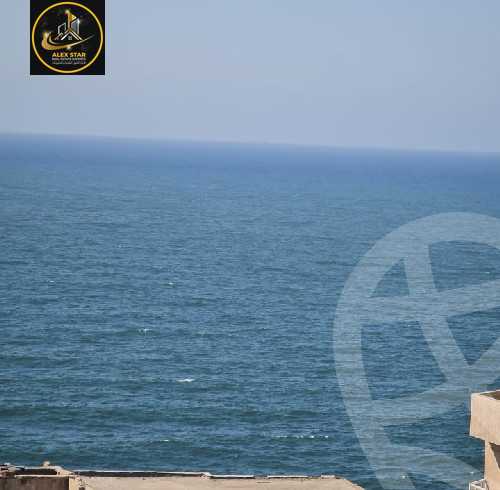https://aqarmap.com.eg/ar/listing/6137336-for-rent-alexandria-camp-cesar-port-said-street