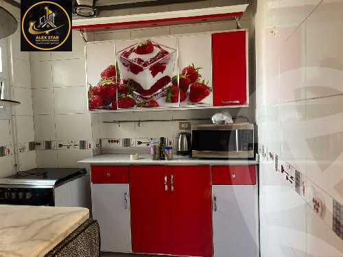 https://aqarmap.com.eg/en/listing/6137367-for-rent-alexandria-camp-cesar-port-said-street