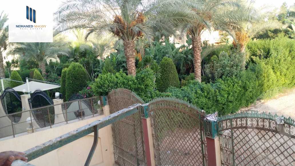 https://aqarmap.com.eg/en/listing/6117149-for-sale-cairo-6th-of-october-garb-someed-neighborhood-2nd
