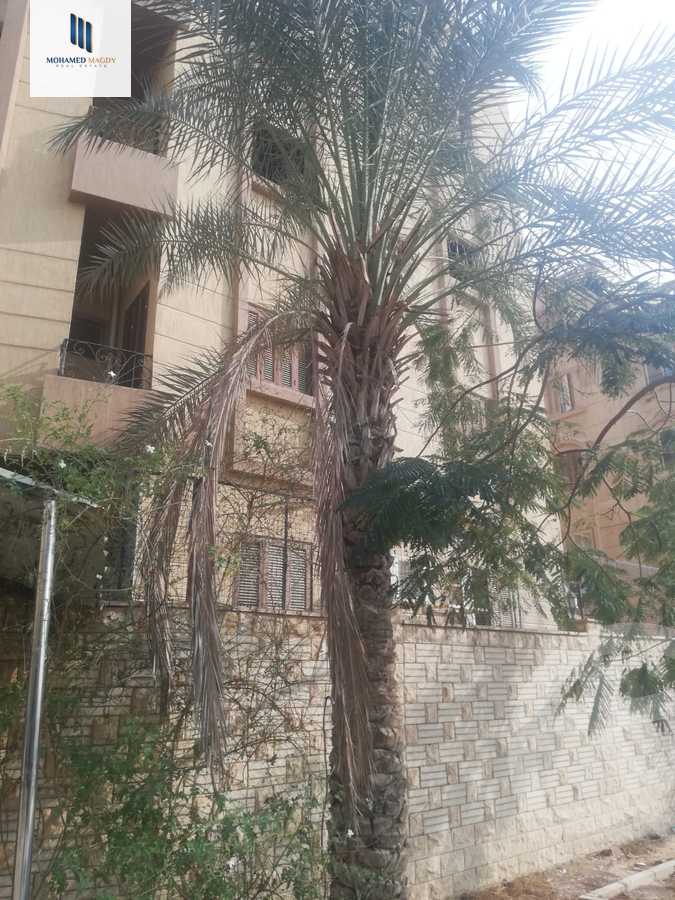 https://aqarmap.com.eg/ar/listing/6574595-for-sale-cairo-el-sheikh-zayed-city-el-hay-elasher-street-100