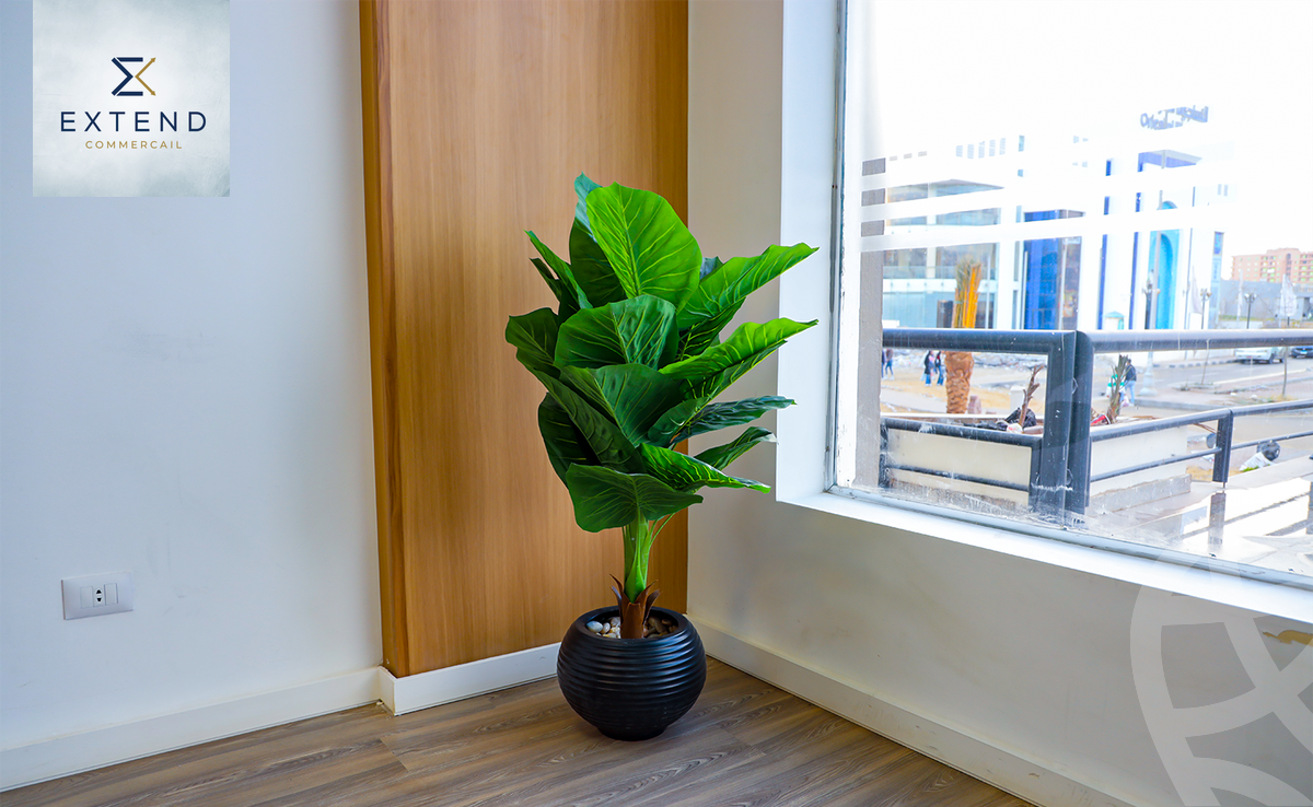 https://aqarmap.com.eg/ar/listing/6306343-for-rent-cairo-6th-of-october-central-axis